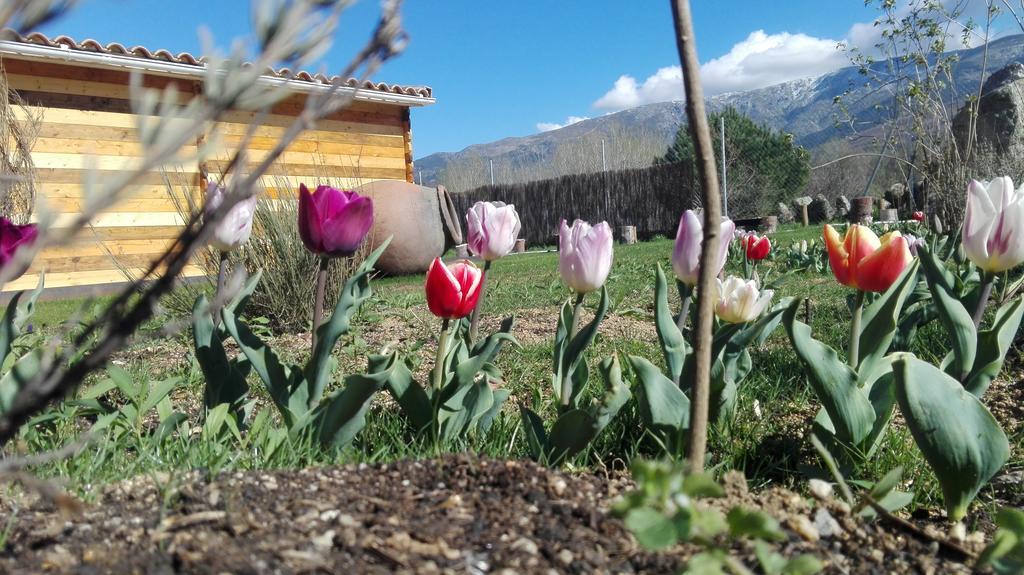 La Cabana Del Alberche Navaluenga Dış mekan fotoğraf